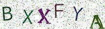 BXXFYA