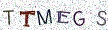TTMEGS