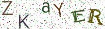 ZKaYER
