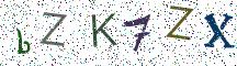 bZK7ZX