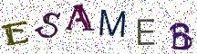 ESAMEB