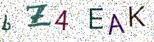 bZ4EAK