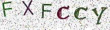 FXFCCY