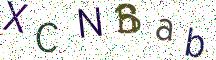 XCNBab