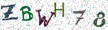 ZBWH78